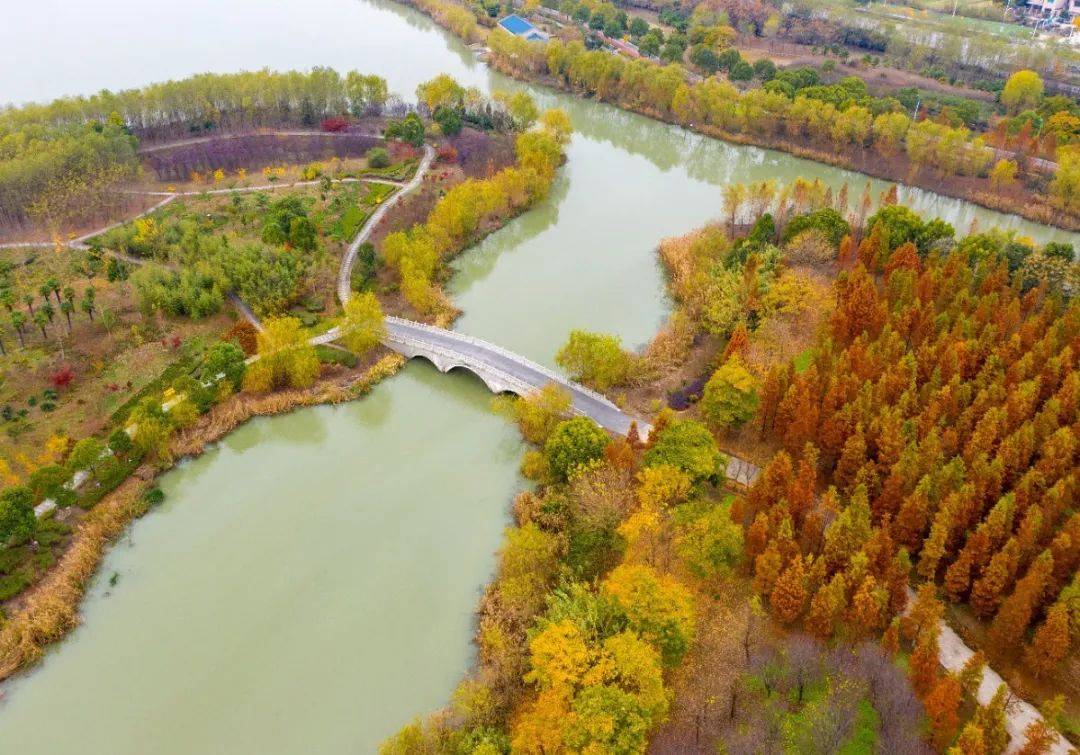 冬季西溪植物园美醉了