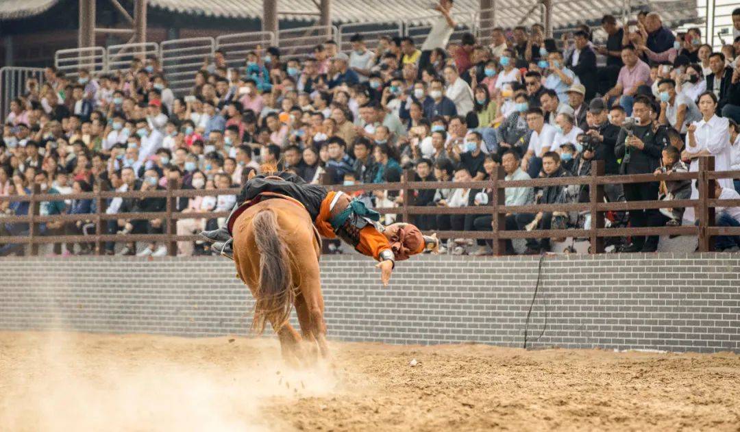芦花飞雪vs烈马战火不负君来不负卿东平湖景区邂逅唯美冬季