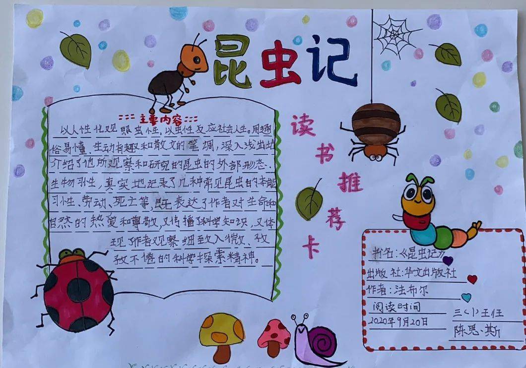 三年级制作好书推荐卡二年级绘制"难忘的画面"一年级创意书签"不动