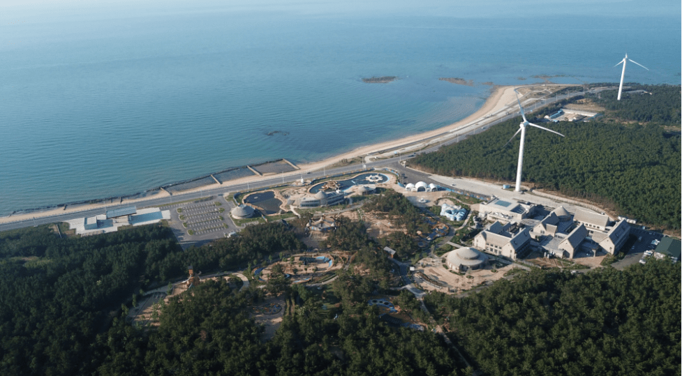 冬游齐鲁丨爱在威海乐享经区海螺湾休闲驿区邀您冬游奇遇小螺号共享