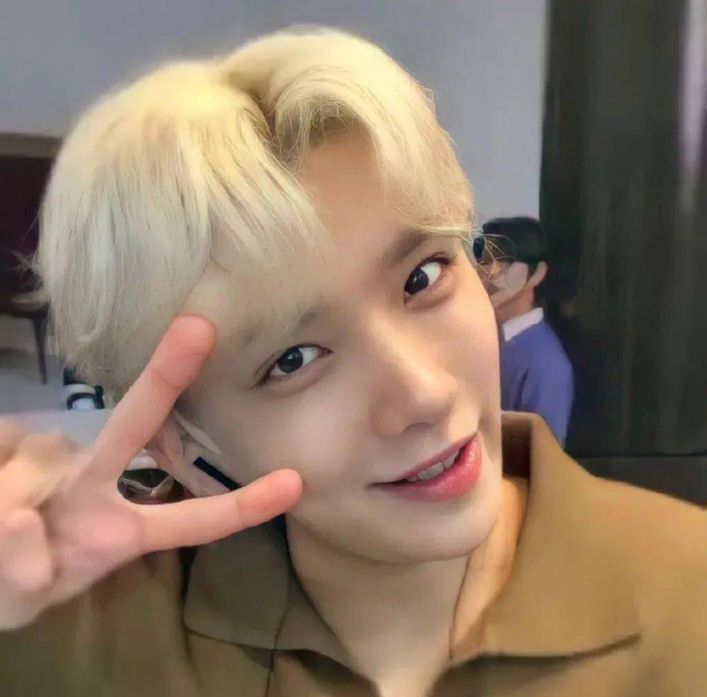 微信头像seventeen洪知秀