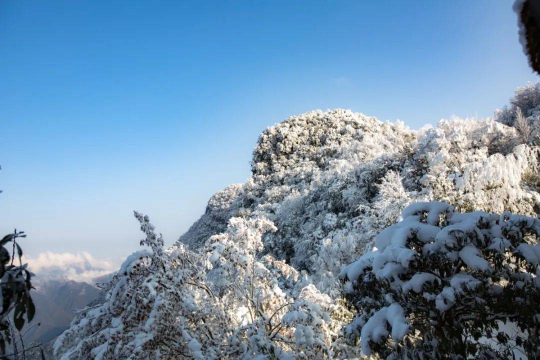 绵阳这些地方都下雪啦!来喝一碗刨汤,足以温暖整个严冬!