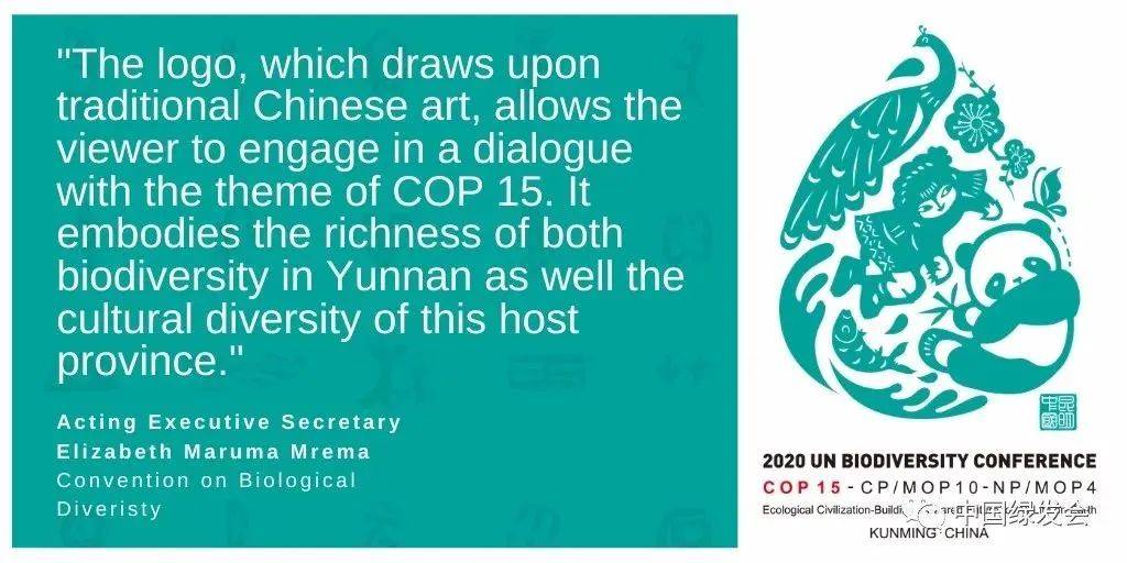 保护生物多样性丨有一个亲身参与cop15大会的机会来吗