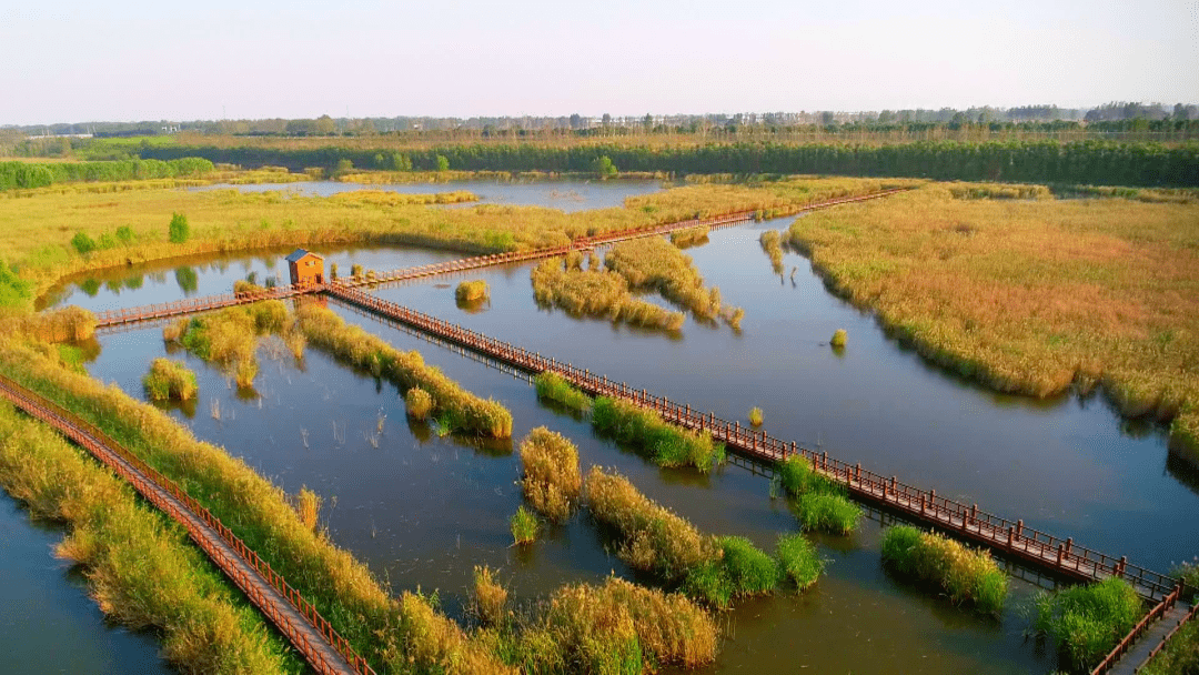长寿之乡河南封丘:走好绿色路 打赢生态牌