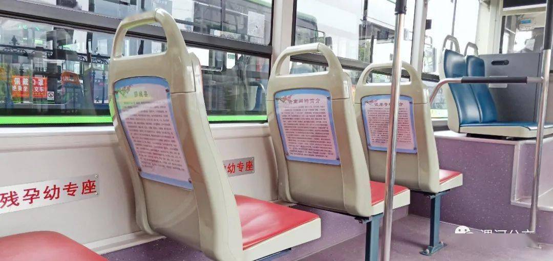 漯河公交主题文化车厢之101路许慎文化主题