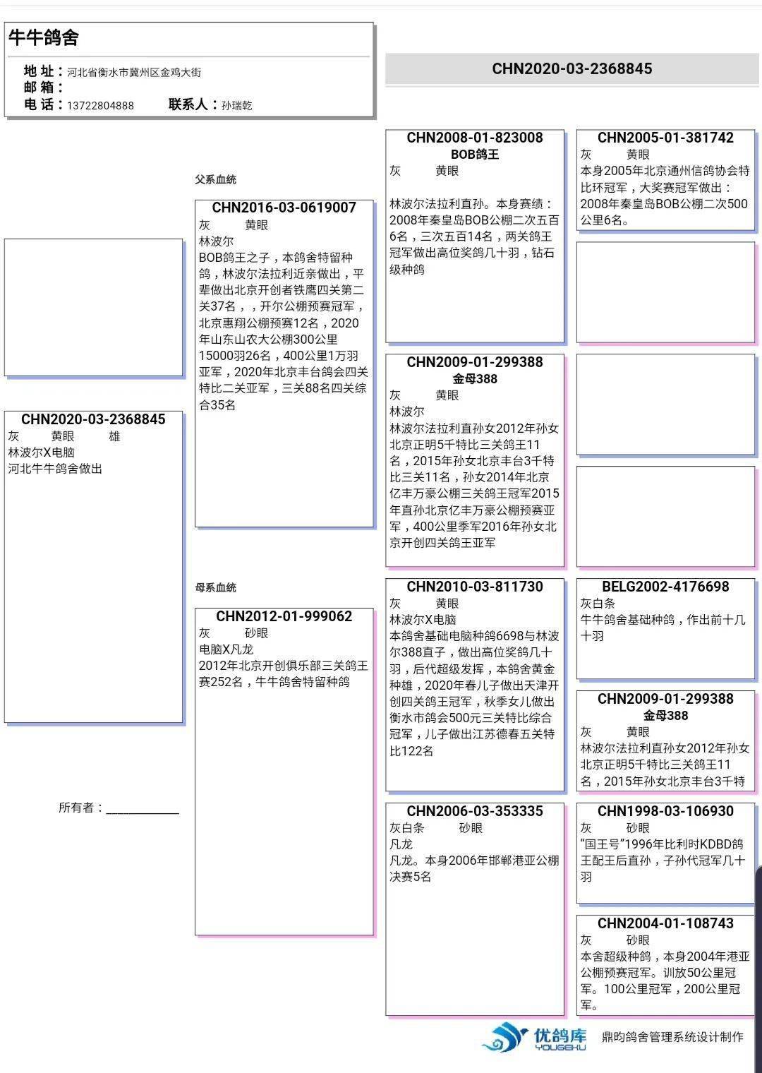 林波尔鸽系的起源图片