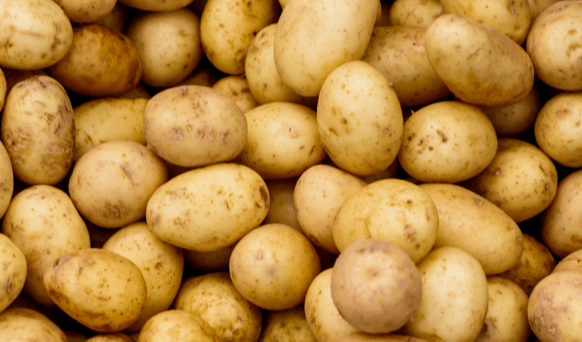 路劲国际城万斤鲜蔬大礼包全城送啦真新鲜