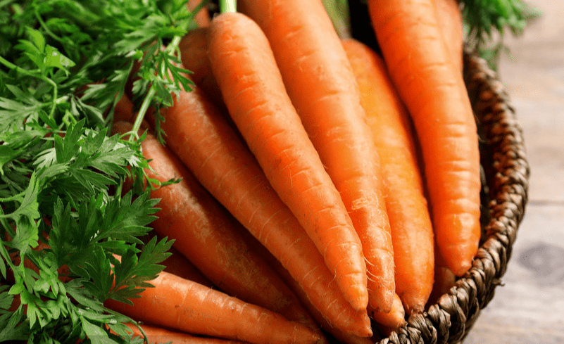 路劲国际城万斤鲜蔬大礼包全城送啦真新鲜