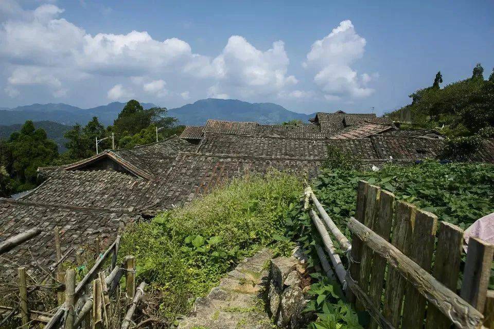 走进长坑村与云雾结伴行乡村新闻官带你探寻云端上的古村落