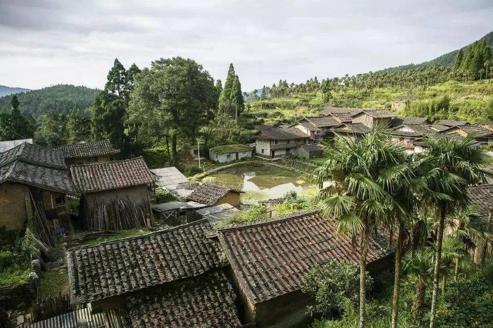 走进长坑村与云雾结伴行乡村新闻官带你探寻云端上的古村落