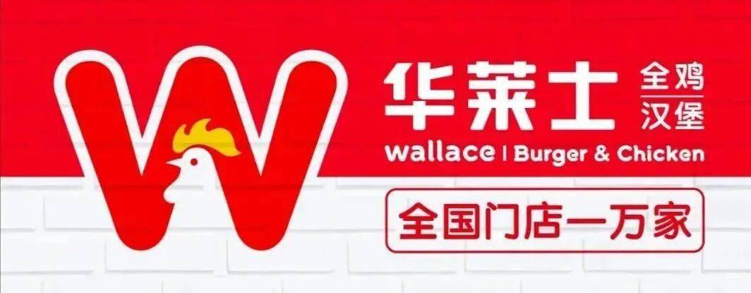 湖南华莱logo图片图片