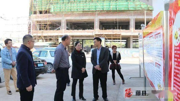 李平到藤县调研统战工作