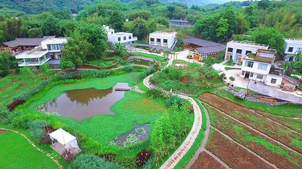 水美新村典型村网络评选活动今天带你看眉山宜宾