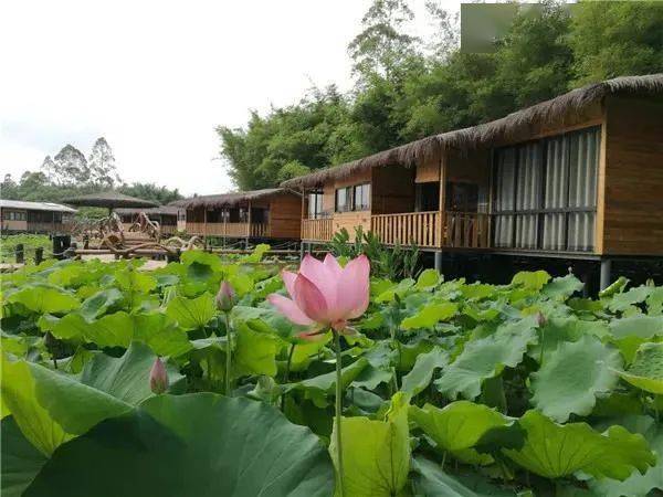 冬遊廣西民宿體驗之旅等你來睡