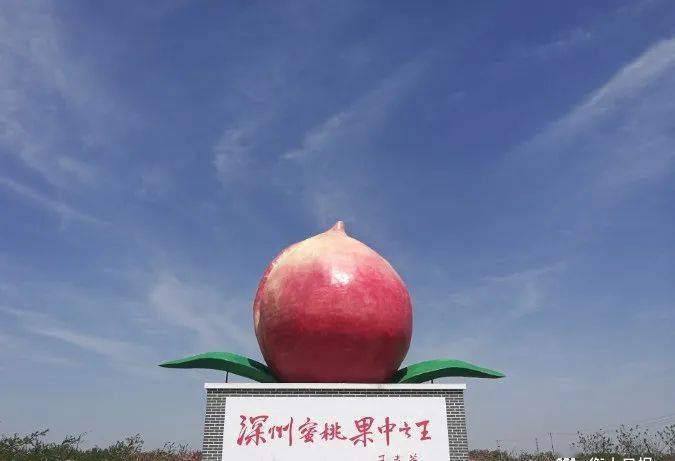 深州市穆村乡西马庄村,是2600多年种植历史的深州蜜桃主产地,国家aa级