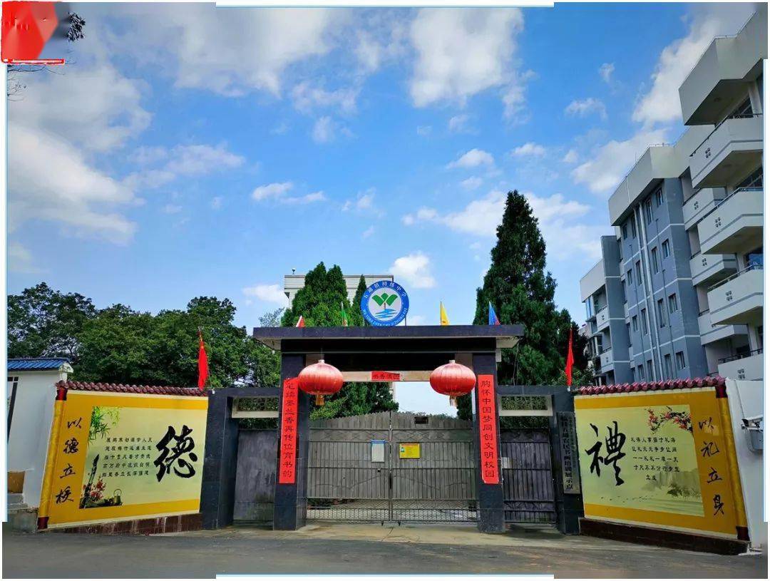 临桂五通以绩效目标推动常态化管理示范镇常葆靓新美
