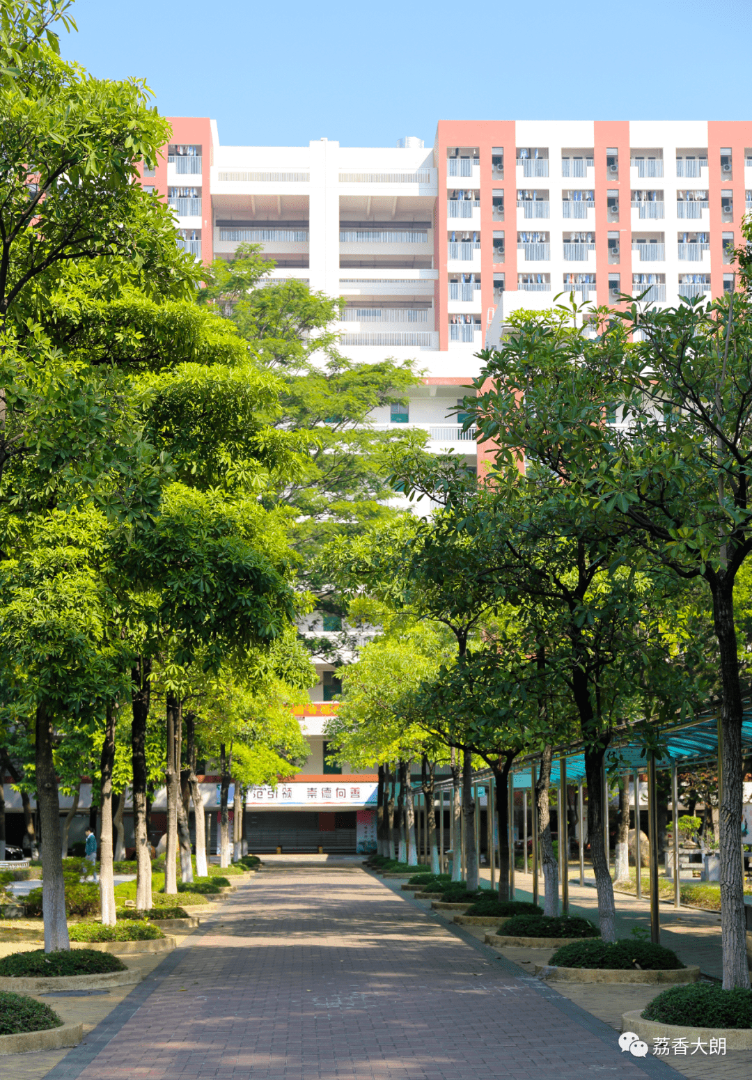 大朗一中的"和正"教育,你知道多少?