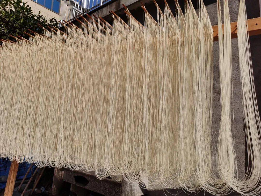 西塘国旅把冬天晒成了风景鱼鲞紫菜垂面豆面今年你家晒了吗