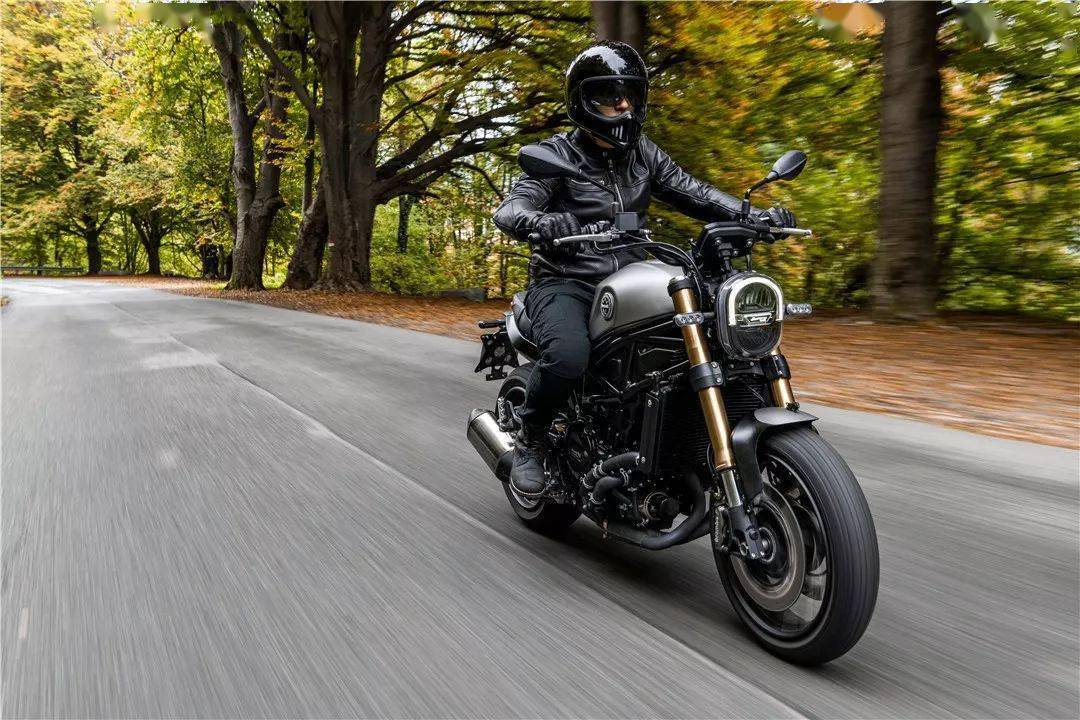 无水印贝纳利幼狮leoncino800