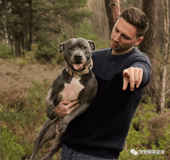 天冷就要抱抱睡壮硕汪亲密怀抱老婆做梦甜笑人类羡慕吗