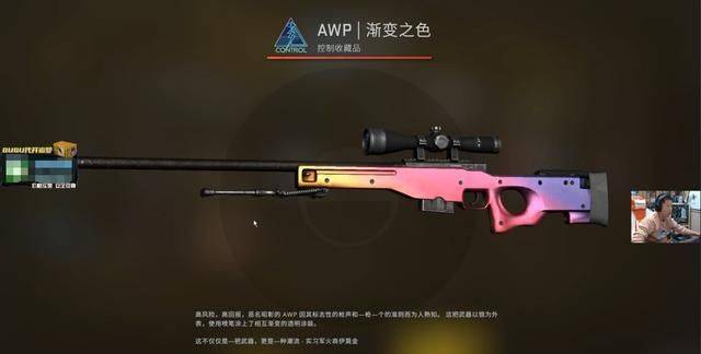 csgo狙击枪皮肤图片