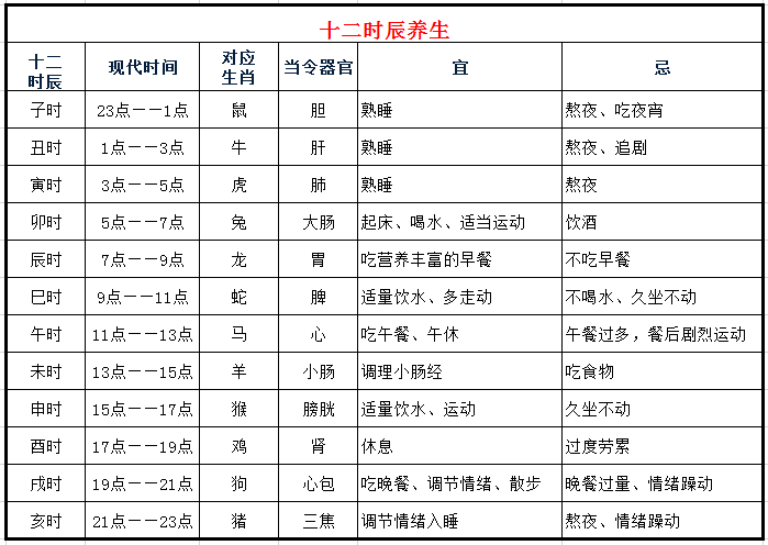 不同的时辰中,对应着不同的人体脏腑器官,经络当令(值班,脏腑器官和