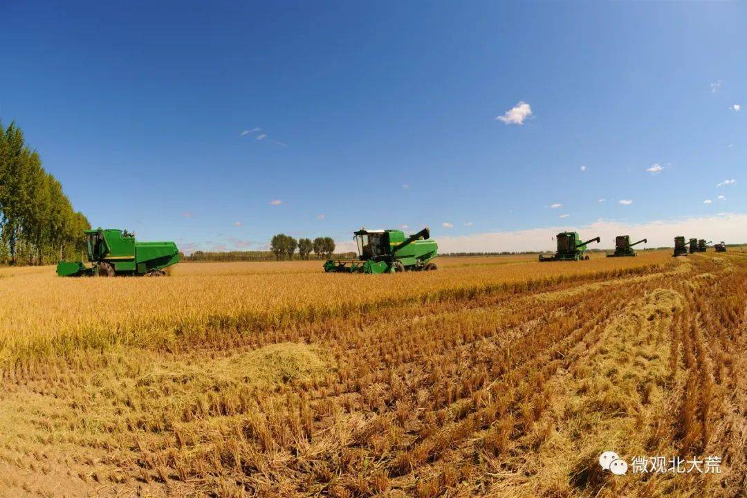 北大荒5农场要成全国示范!