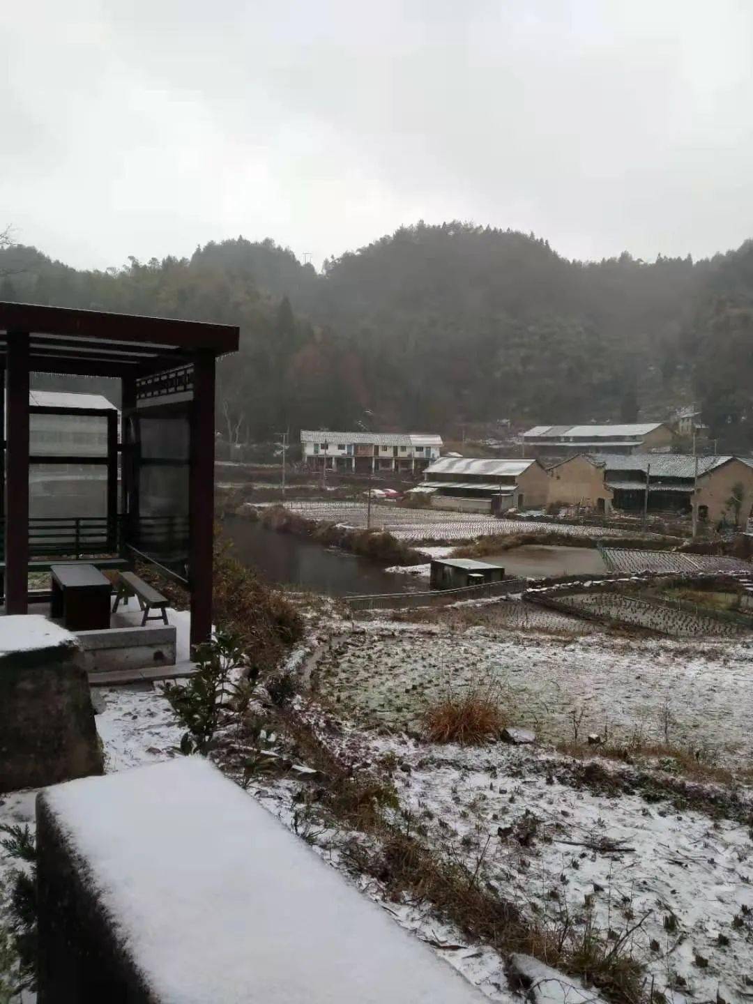 網友攝於界坑鄉界坑村 網友麻雲多攝於碧蓮鎮應界坑村 網友陳鐵攝於界