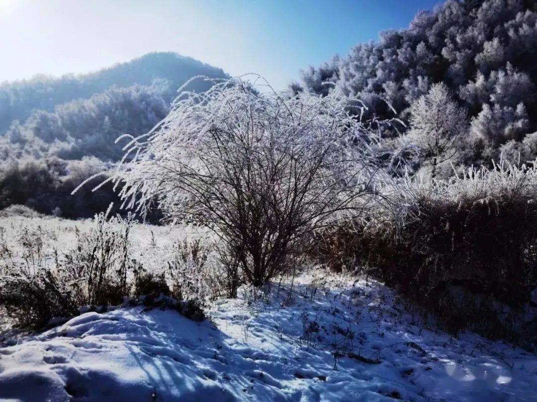 冬季到渭源,除了赏雪滑雪还有许多让你心动的理由!