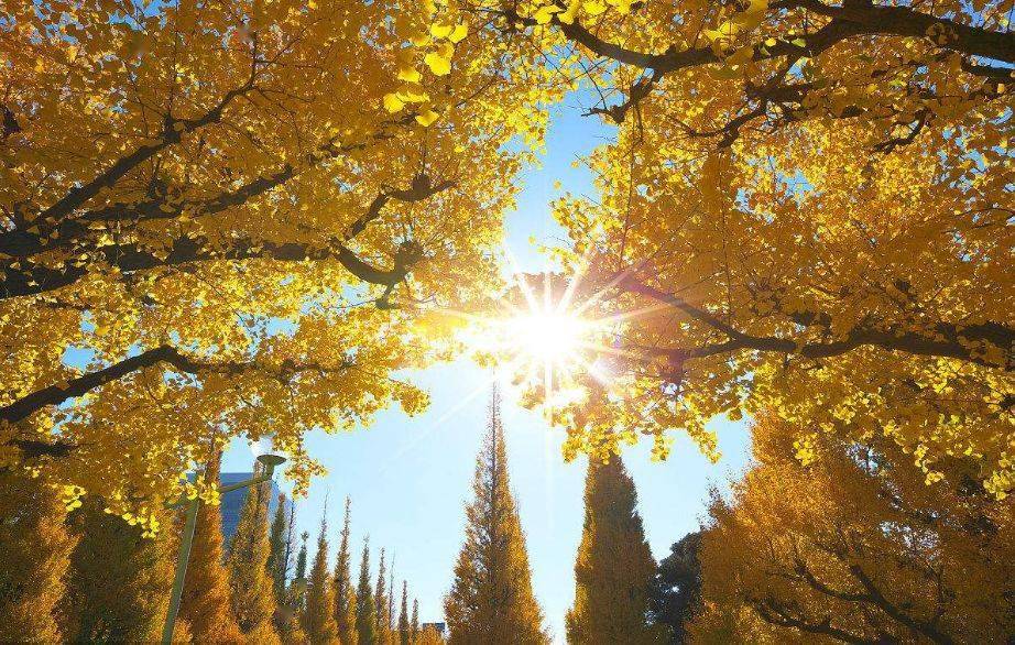 阳光明媚围巾,帽子,手套护航更佳穿上棉服或羽绒衣靠"一身正气"只怕