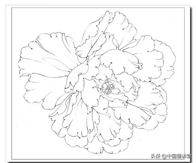 工筆六色牡丹花頭繪製步驟收藏起來慢慢學