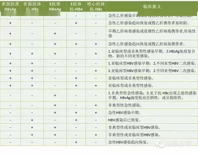 关于乙肝两对半最全的解释