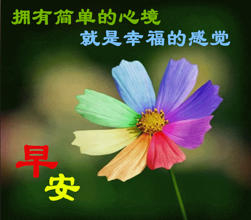 非常漂亮早上好表情包送给你天天开心顺心如意