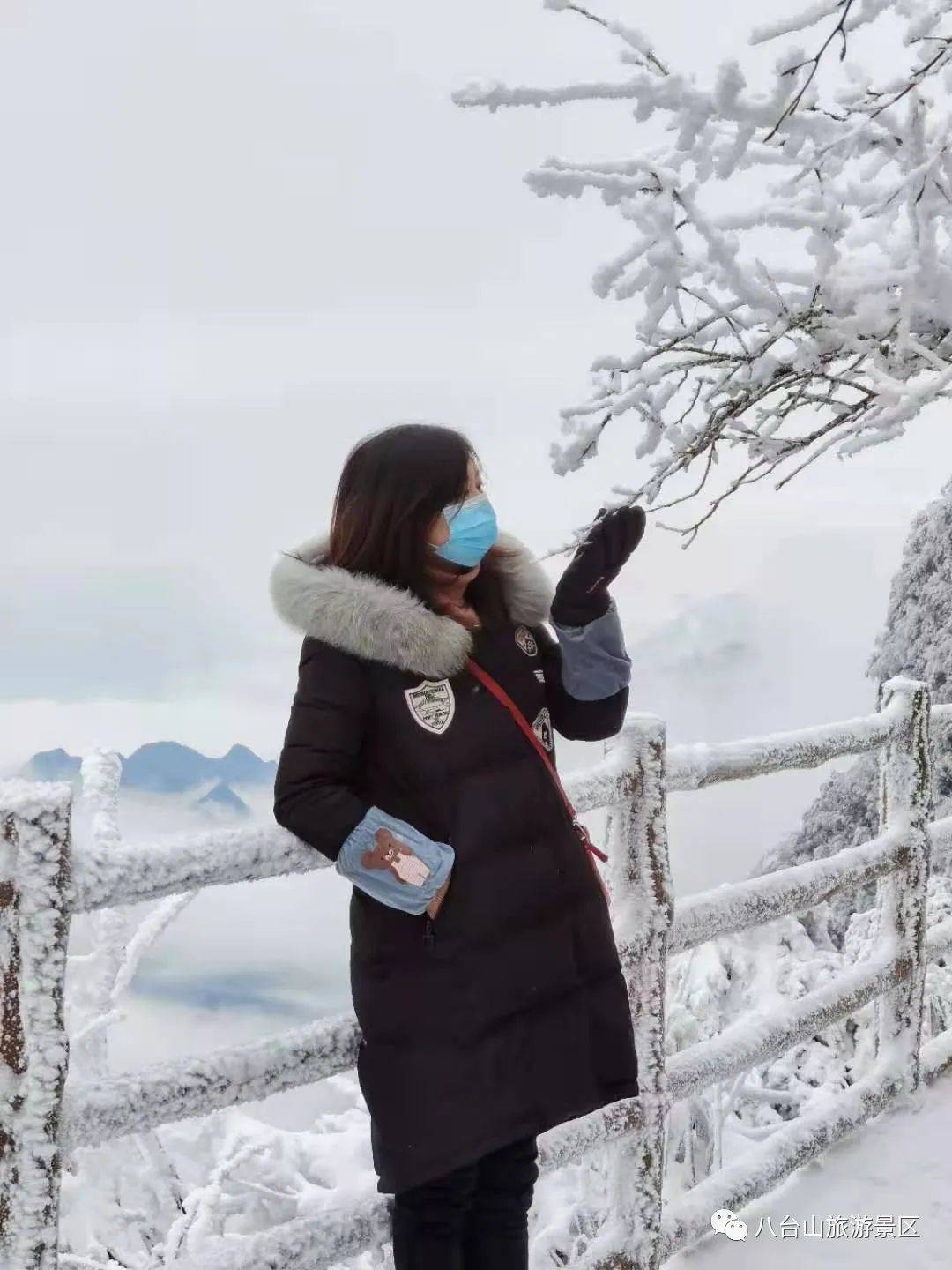 八台山又叕叕下暴雪了这些景色太火了