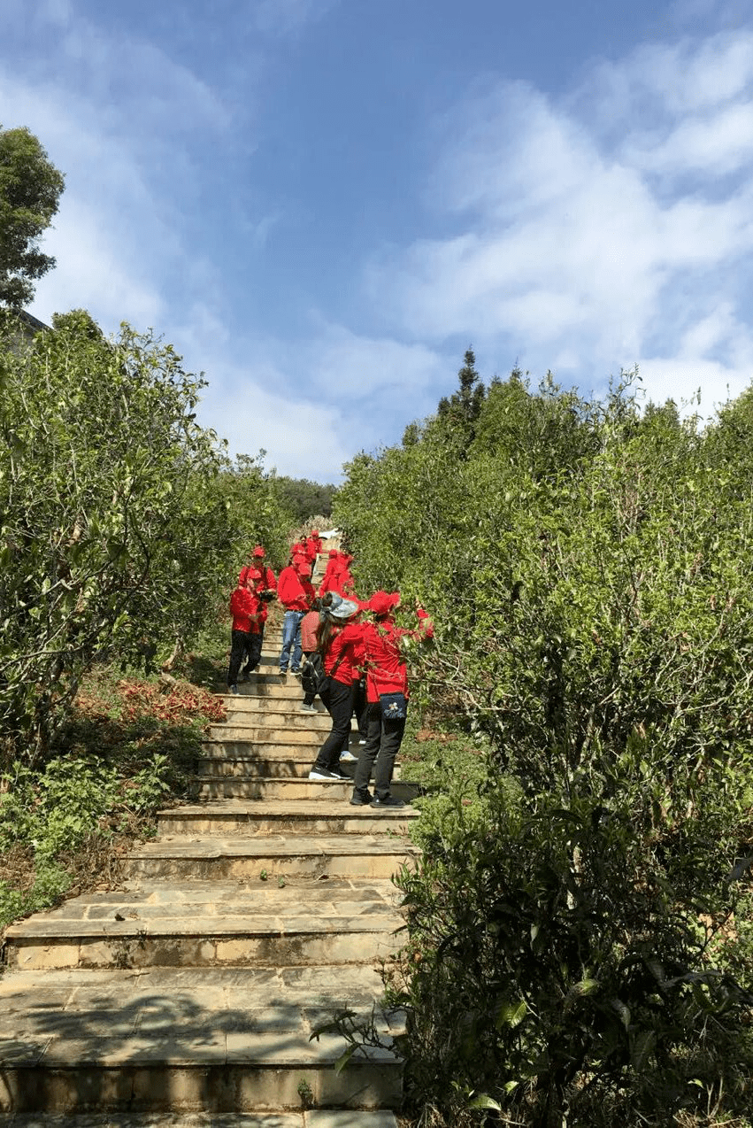 乡村旅游看临沧丨永德县德党镇67鸣凤山自然村