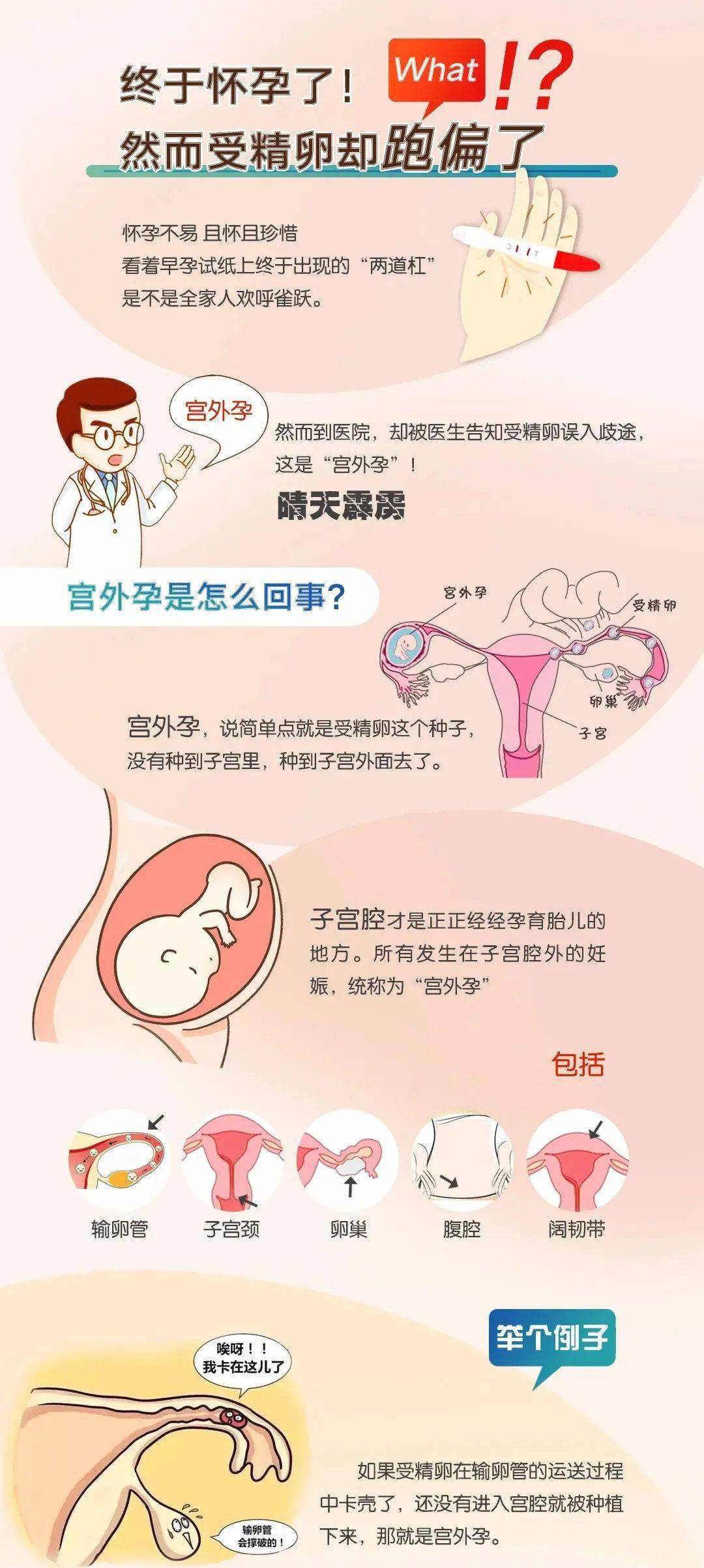 15女怀孕咋办图片