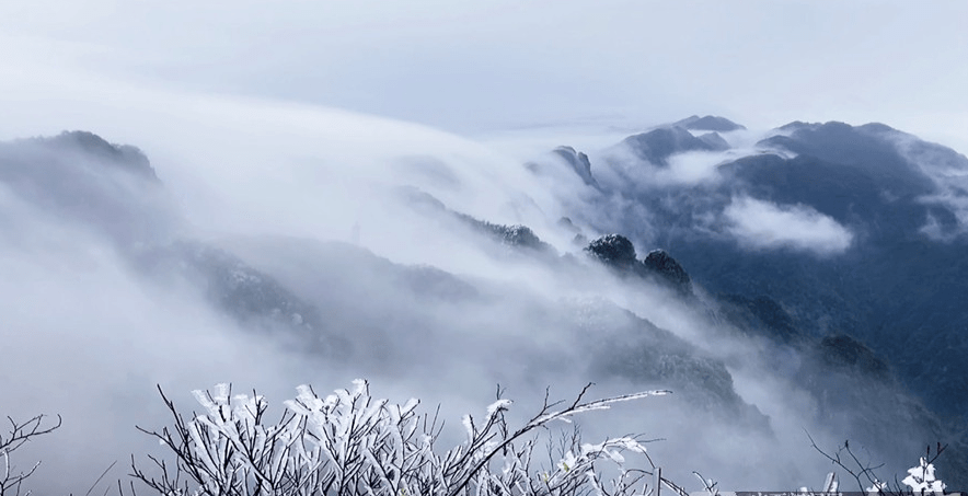 大明山雾松图片