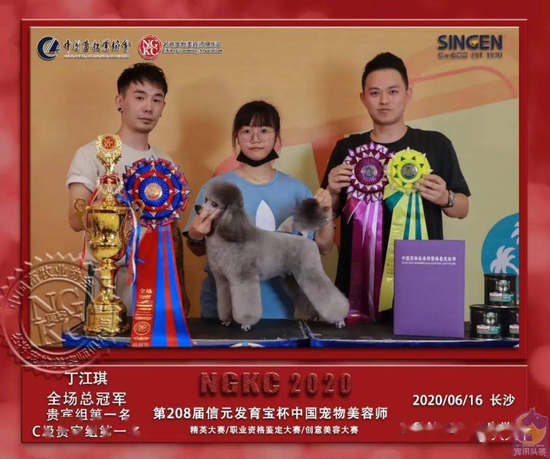 唯爱恒业南昌创美朱文建老师获颁ngkc教师级宠物美容师证书