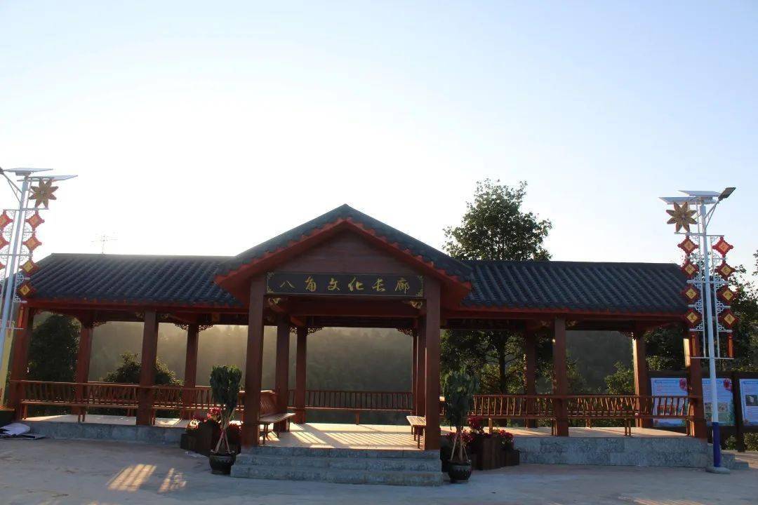 藤县古龙镇做大做强特色产业