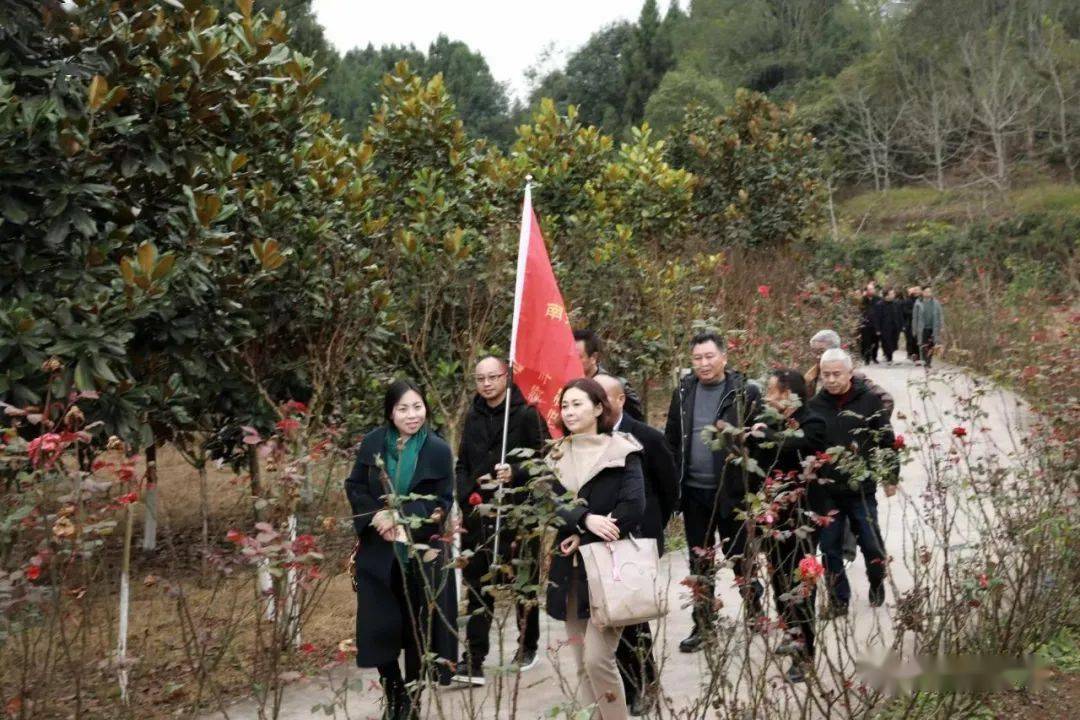 南充正觉寺村图片