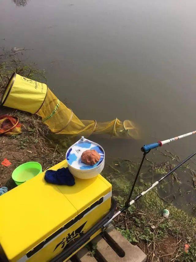 钓鱼技巧冬季怎样才能钓到草鱼五个技巧可以讲清楚