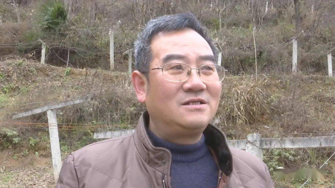 涨知识,强技能!佛坪开展猕猴桃种植技术培训