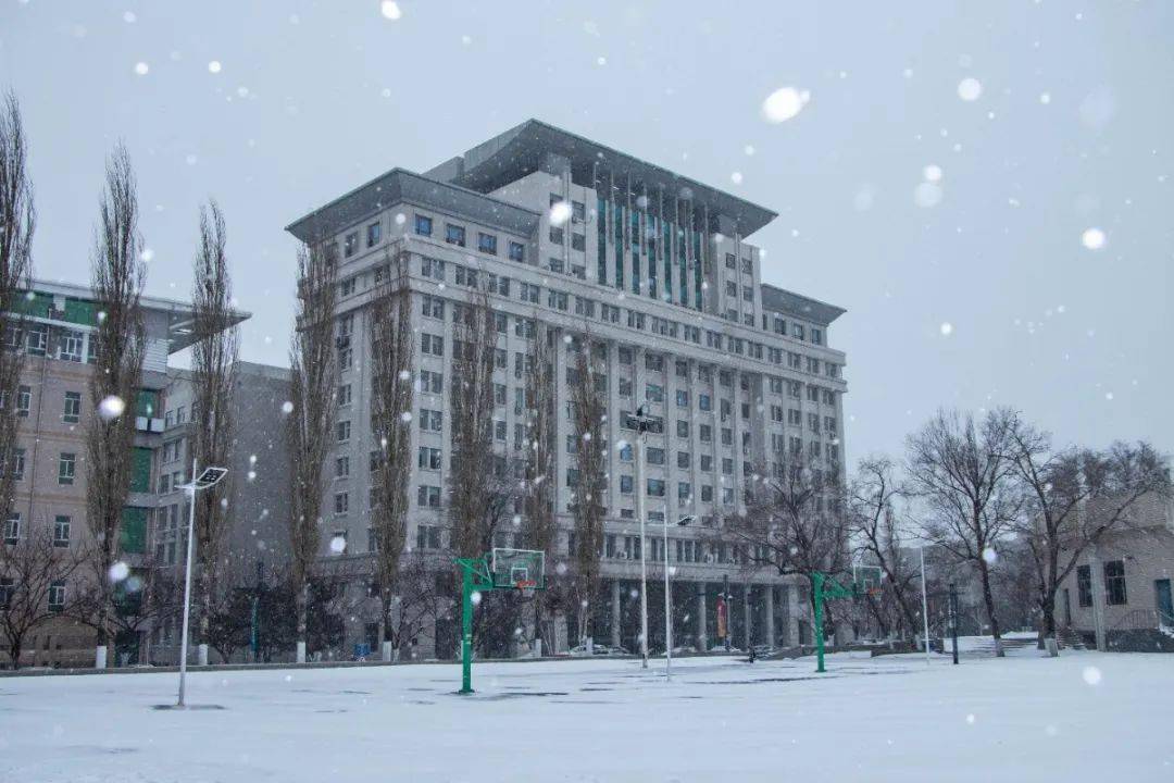 龍江高校雪景聯動東北林業大學冰城皓色誰能入君眼眸