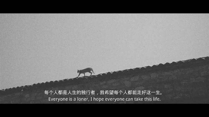 余生,学会一个人走,不管有没有人陪