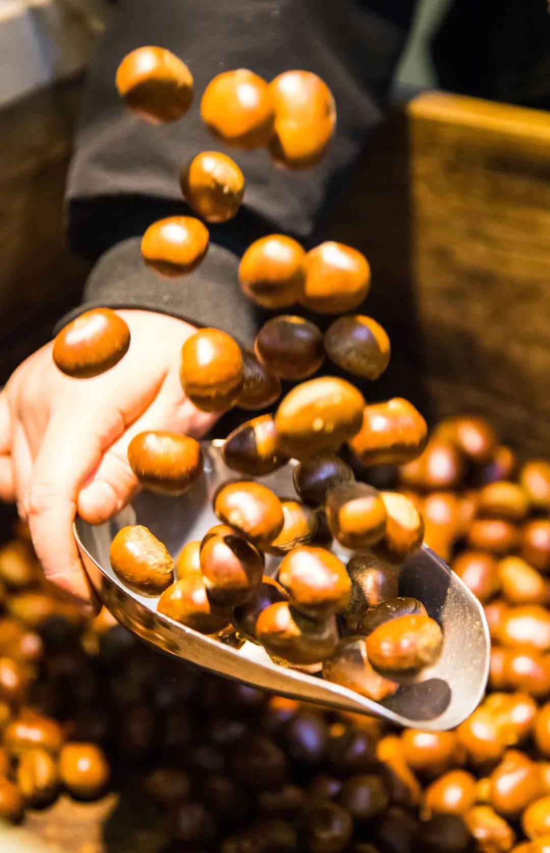 『粒上皇』请全成都人吃现炒板栗啦!