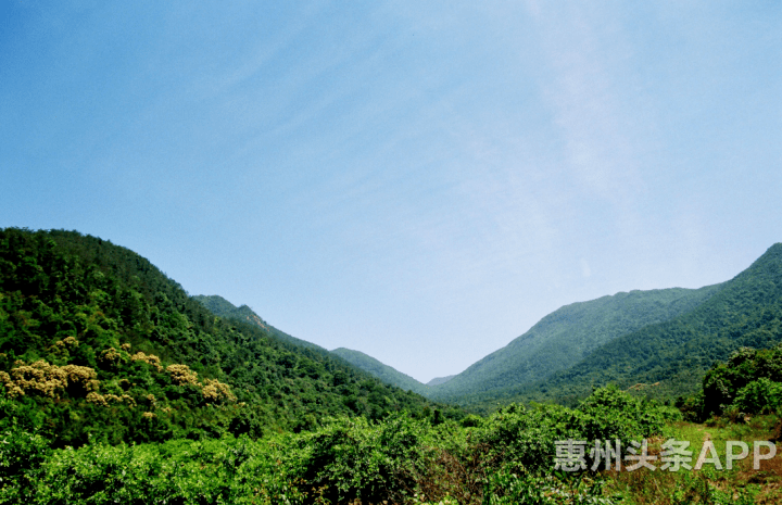 惠阳铁炉嶂森林公园图片