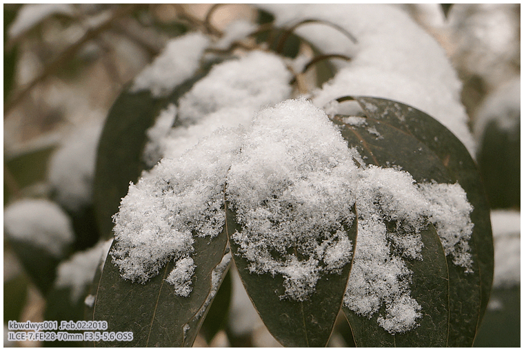 林清玄煮雪