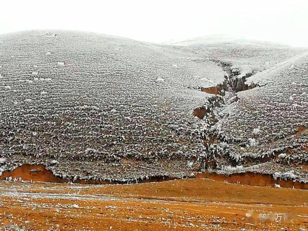 昭通大山包:雾凇 冰雪 黄土 蓝天 白云,还有黑颈鹤和鸡公山,咋那么