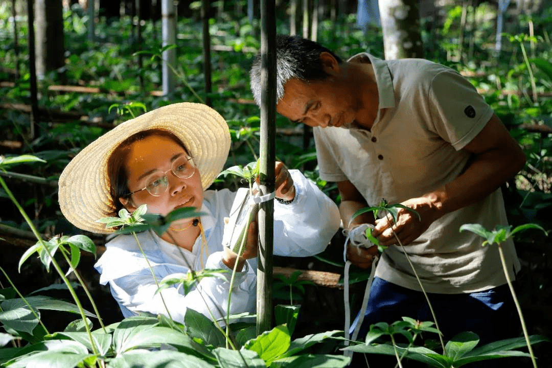 弘扬科学家精神 苏海兰:蹲守在大山里的"护花使者