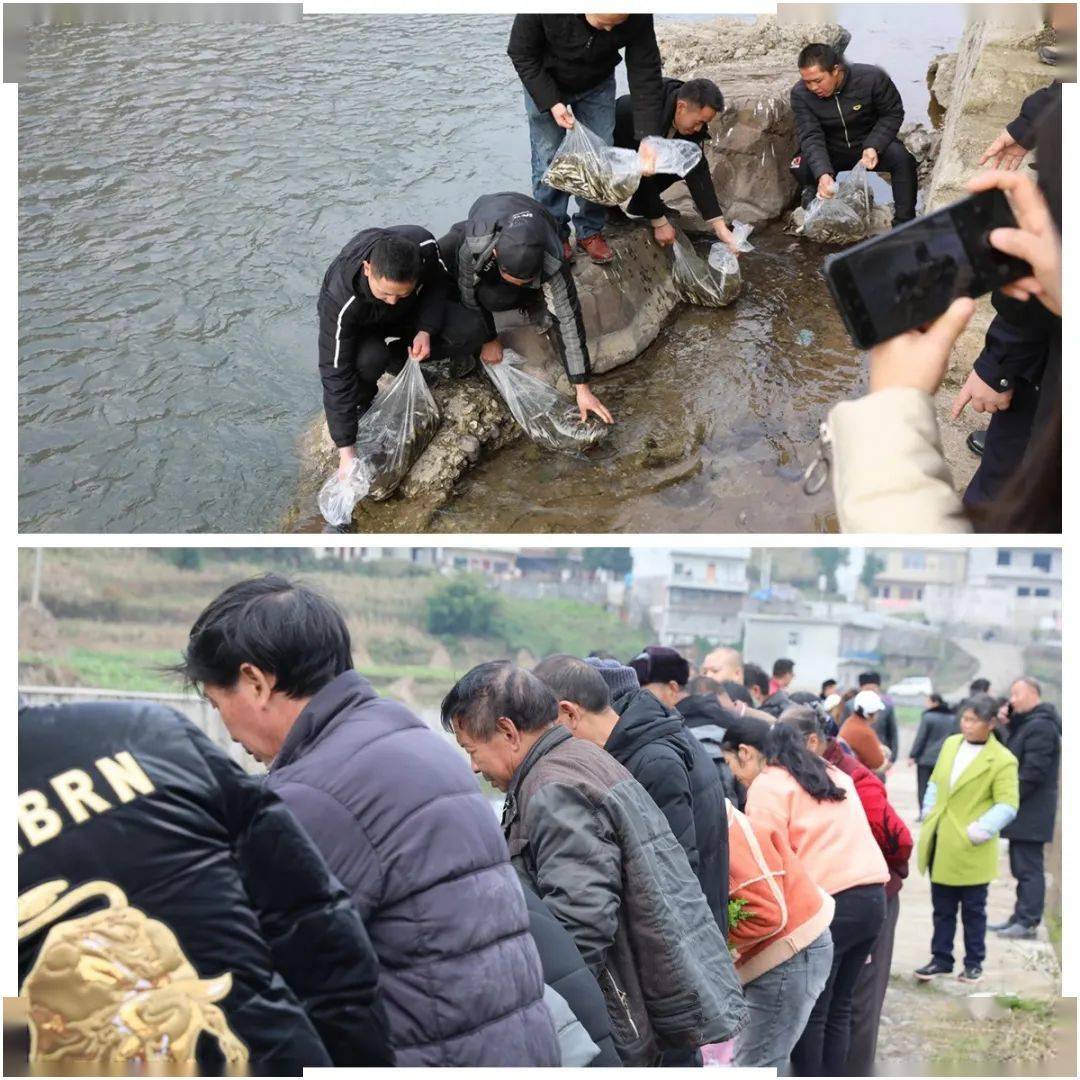 镇雄5人被拘役四个月河里这种木槐不能乱捉了